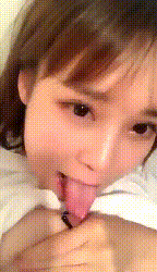 17.gif